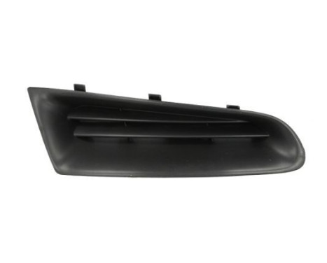 Radiator Grille