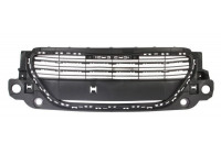 Radiator Grille