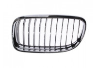 Radiator Grille