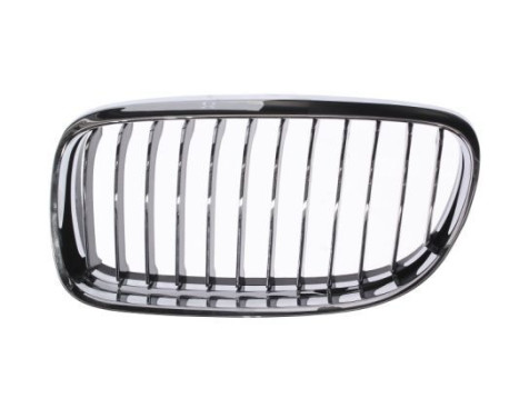 Radiator Grille