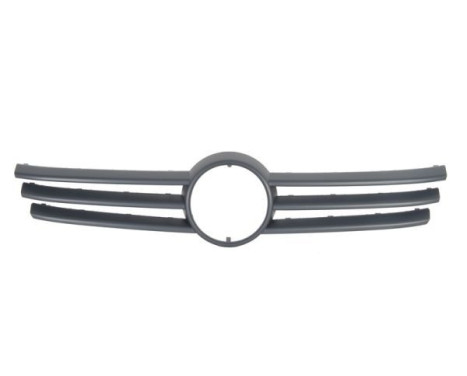 Radiator Grille