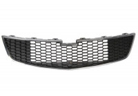 Radiator Grille