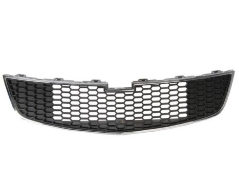 Radiator Grille