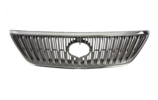 Radiator Grille