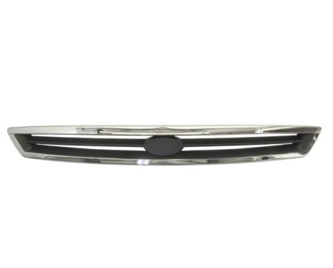 Radiator Grille