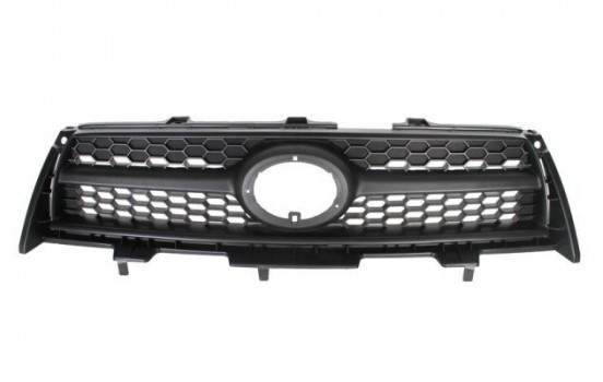 Radiator Grille