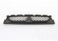Radiator Grille