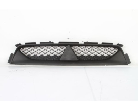 Radiator Grille
