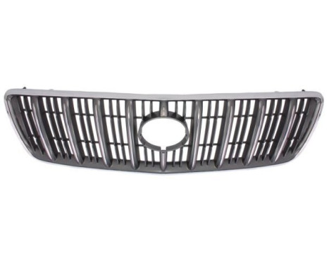 Radiator Grille