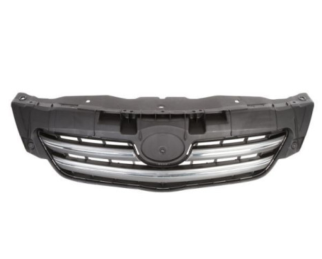 Radiator Grille
