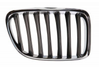 Radiator Grille