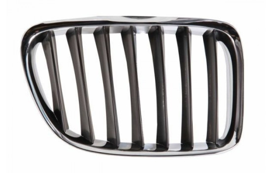 Radiator Grille