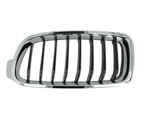 Radiator Grille