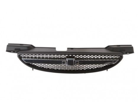 Radiator Grille