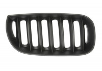Radiator Grille