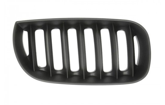 Radiator Grille