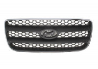 Radiator Grille