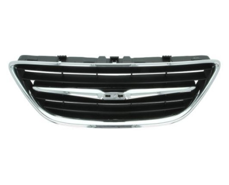Radiator Grille