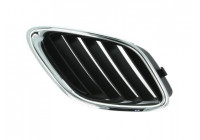 Radiator Grille