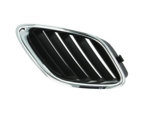 Radiator Grille