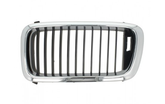Radiator Grille