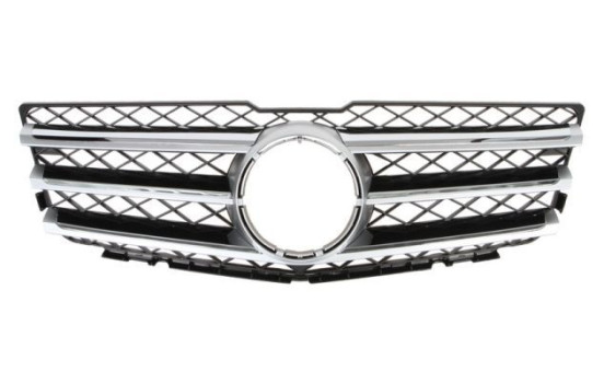 Radiator Grille
