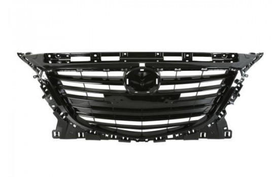 Radiator Grille