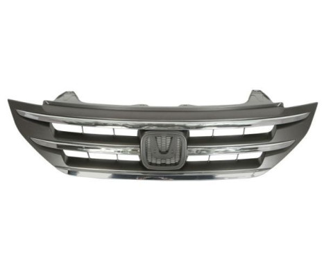 Radiator Grille