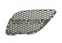 Radiator Grille