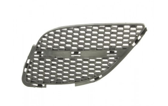 Radiator Grille