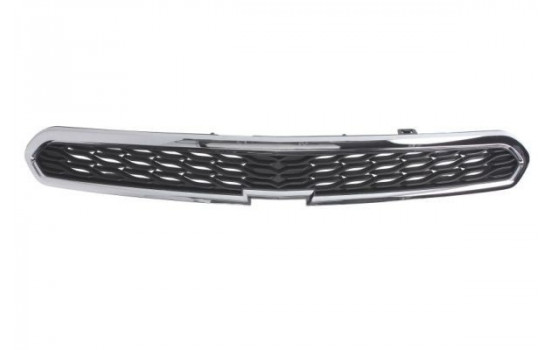 Radiator Grille