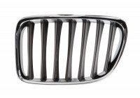 Radiator Grille