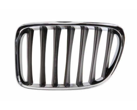 Radiator Grille
