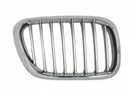 Radiator Grille
