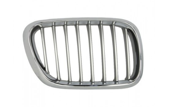 Radiator Grille