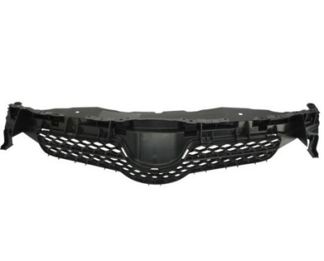 Radiator Grille