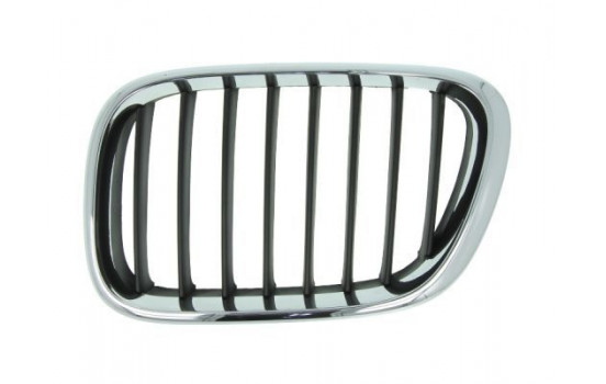 Radiator Grille