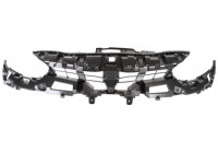 Radiator Grille