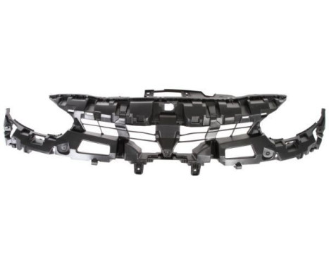 Radiator Grille