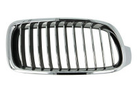Radiator Grille