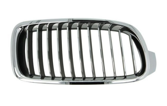 Radiator Grille