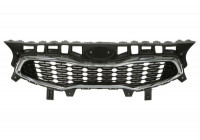 Radiator Grille