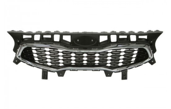 Radiator Grille
