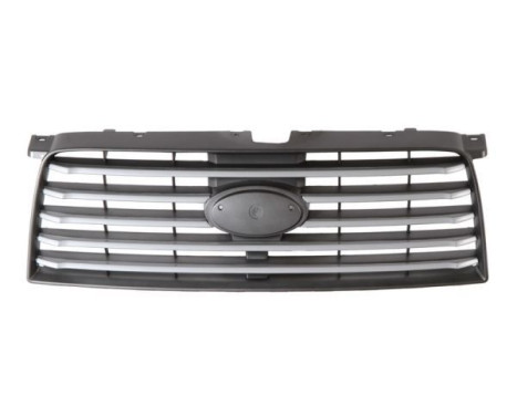 Radiator Grille