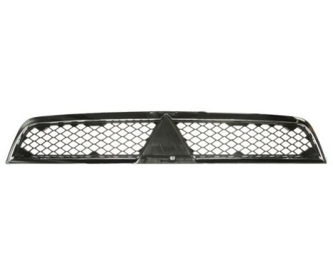 Radiator Grille, Image 2