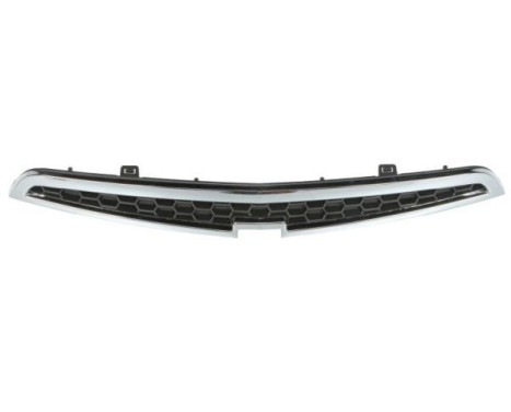 Radiator Grille