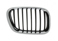 Radiator Grille