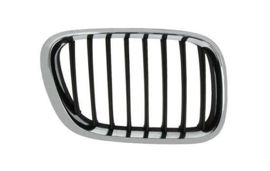 Radiator Grille