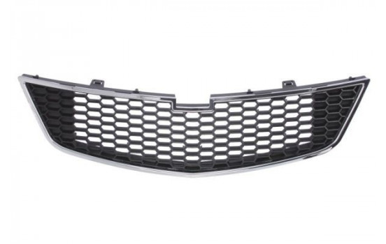 Radiator Grille