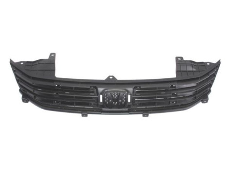 Radiator Grille